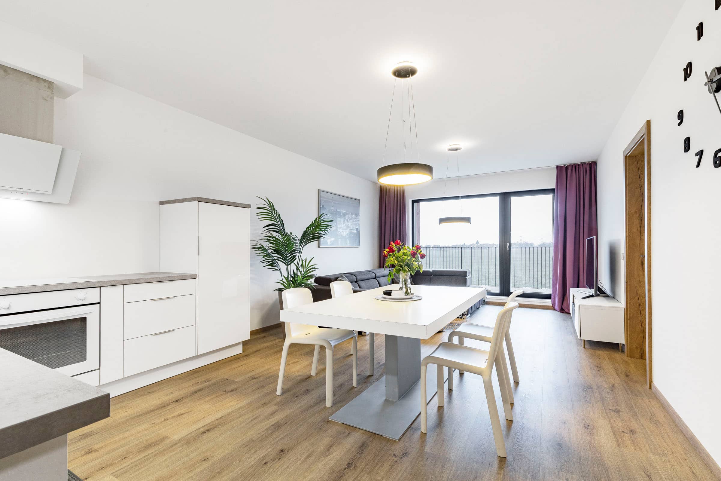 Apartment Tupolevova