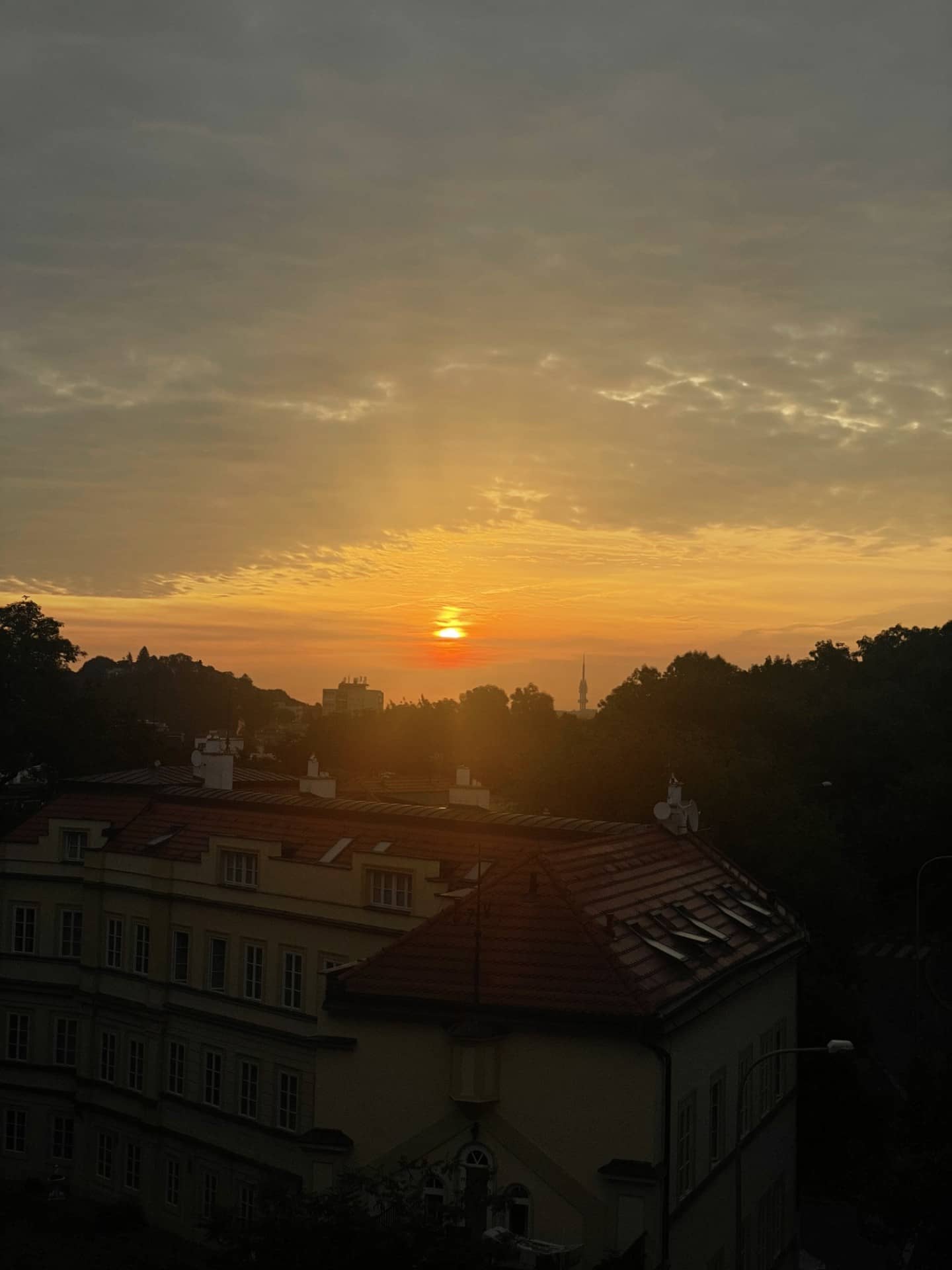 Byt Tůmova