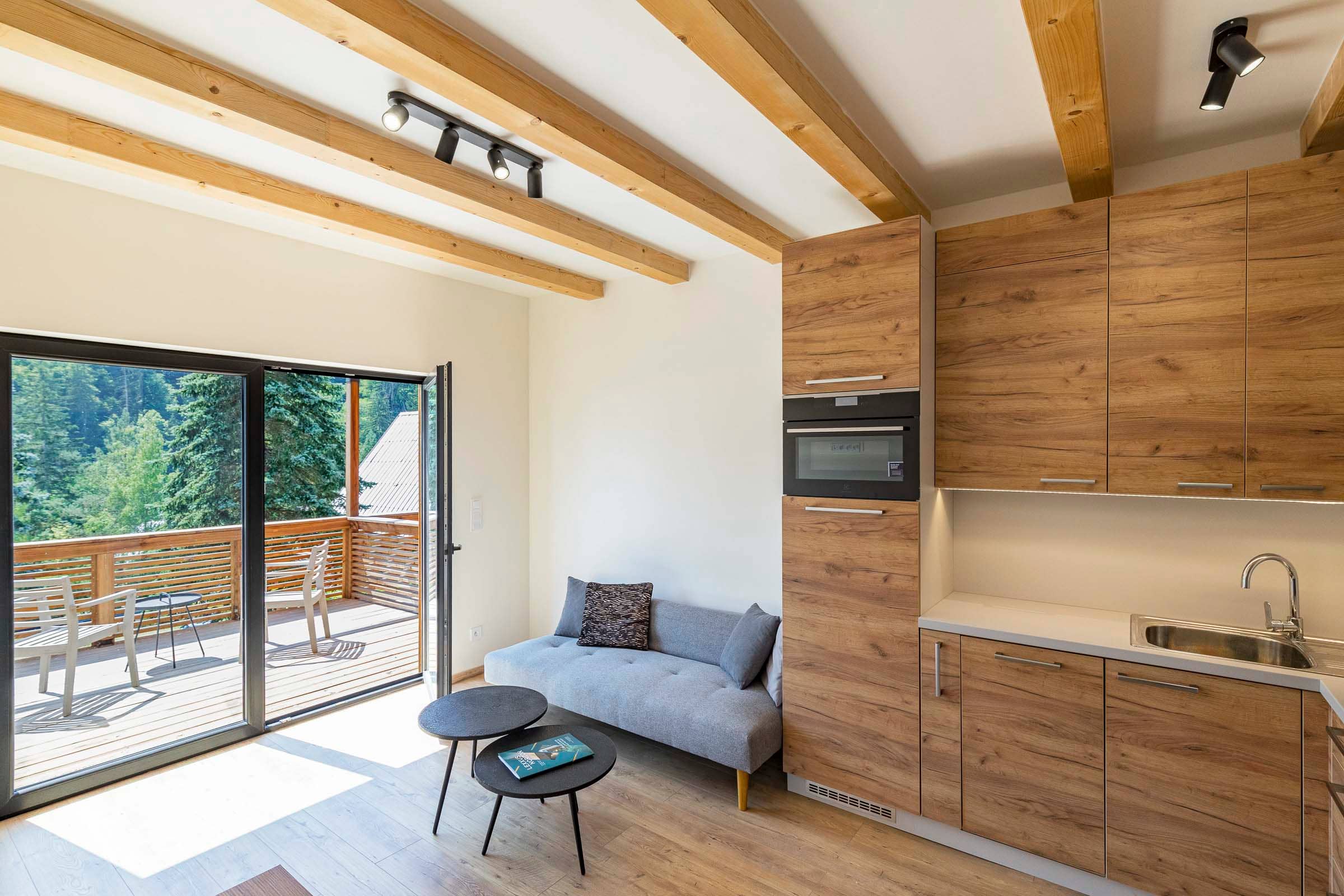 Apartment Dedovice