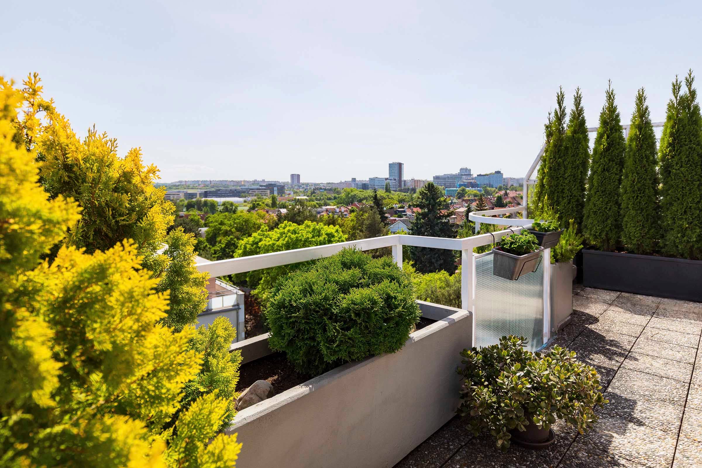 Apartment U krize