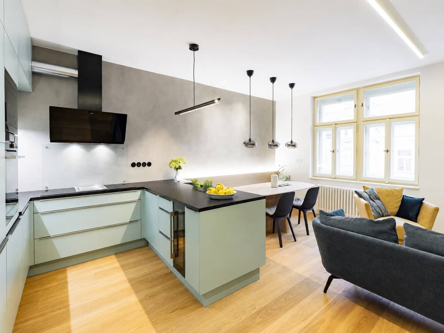 Apartment Manesova