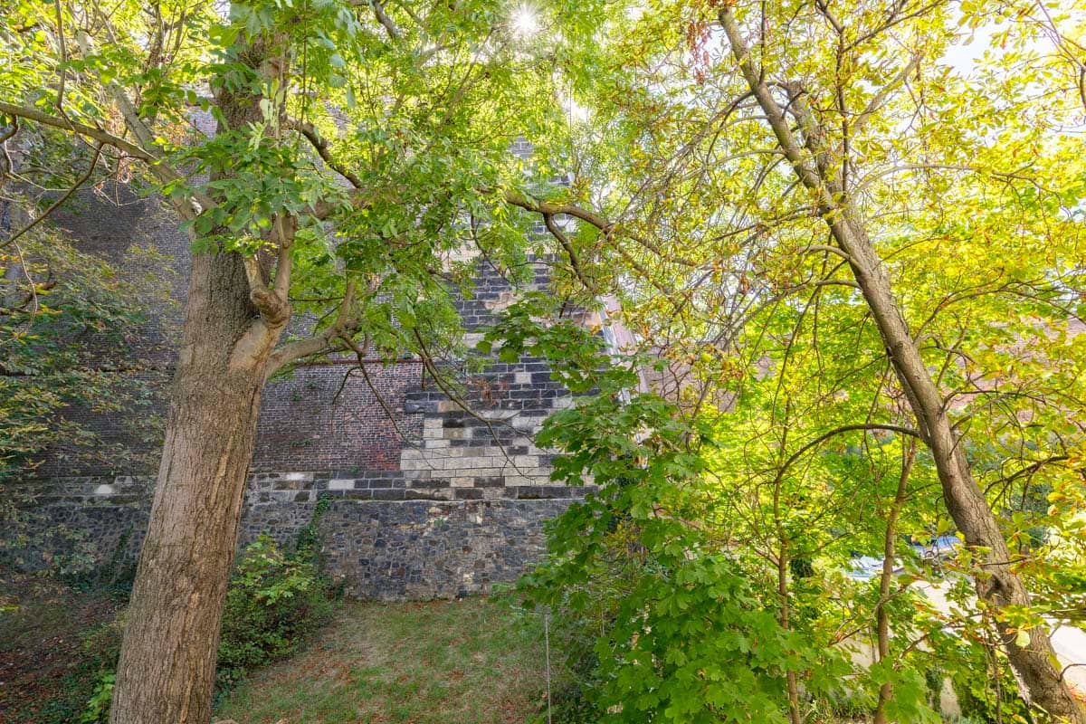 Apartment Vratislavova