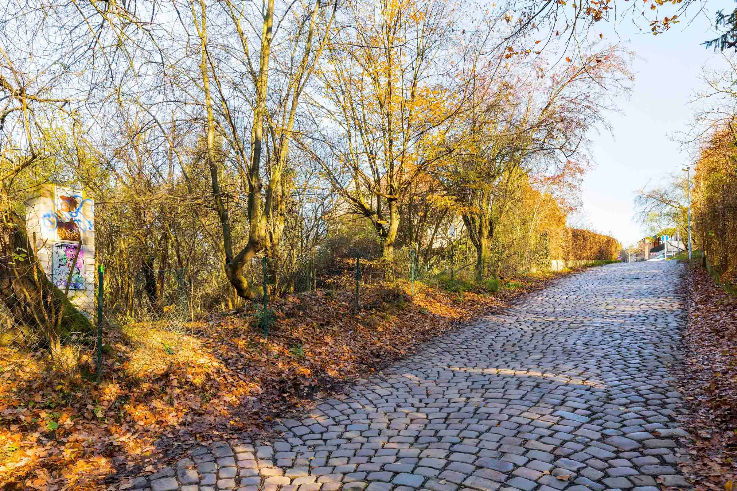 Pozemek Na Dlážděnce