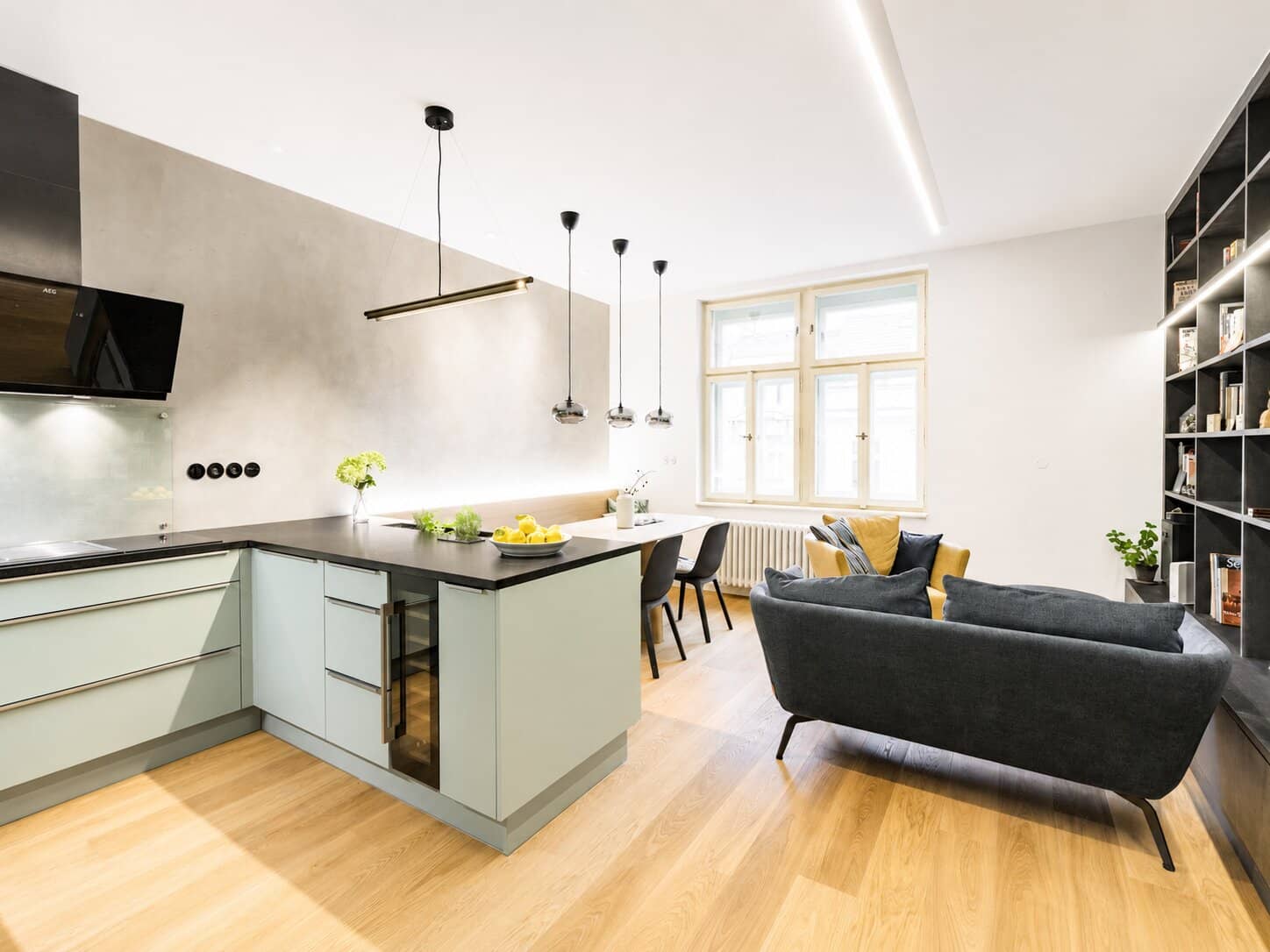 Apartment Manesova