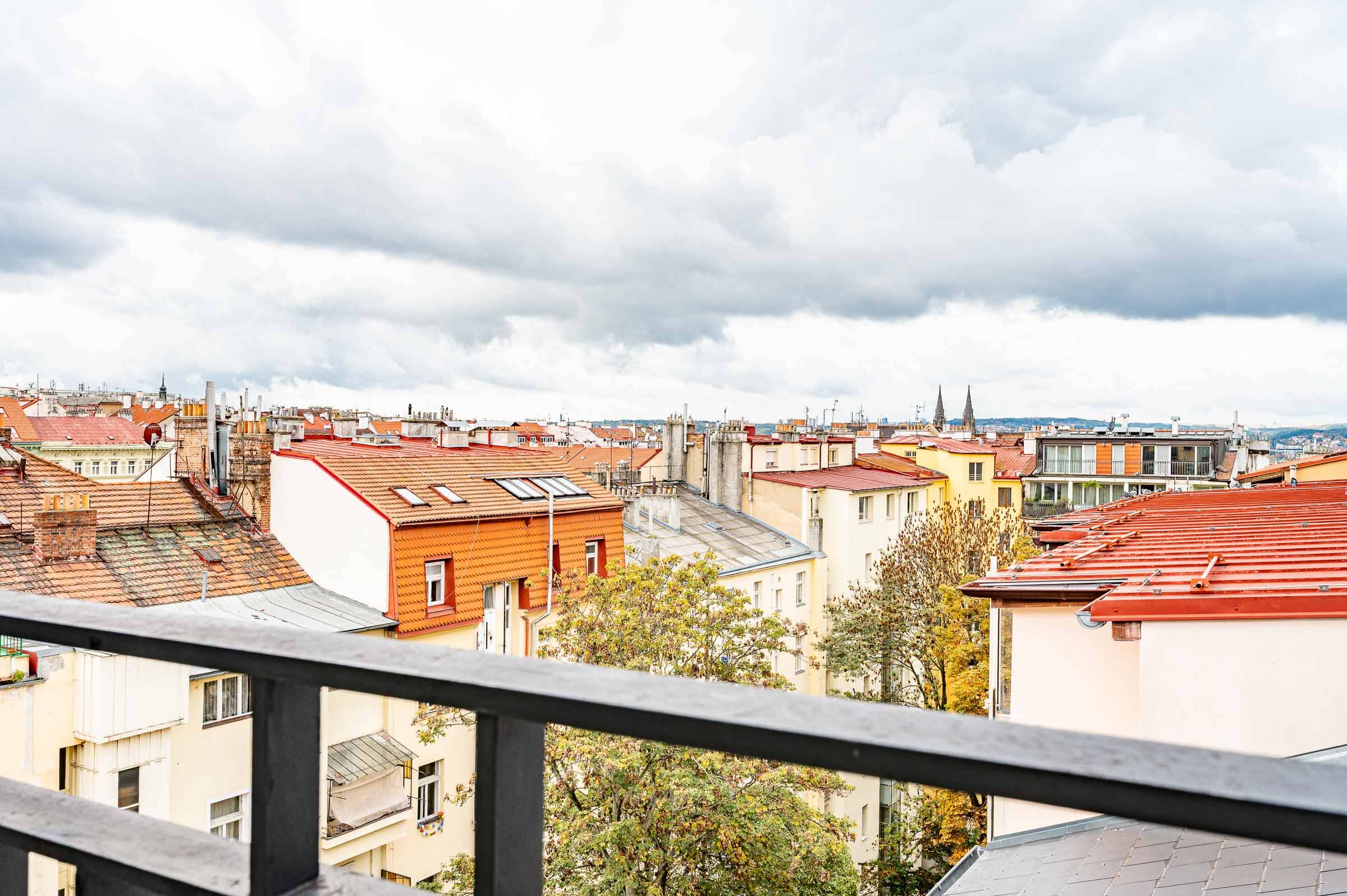 Apartment Mánesova