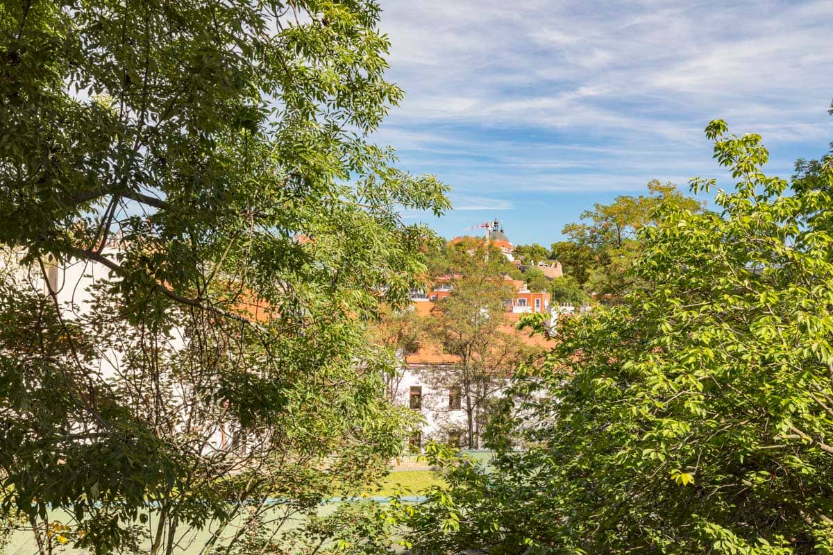 Apartment Vratislavova