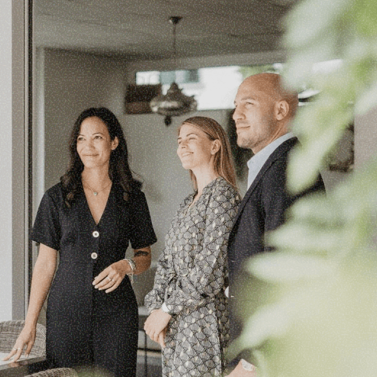 What is LEXXUS NORTON like?