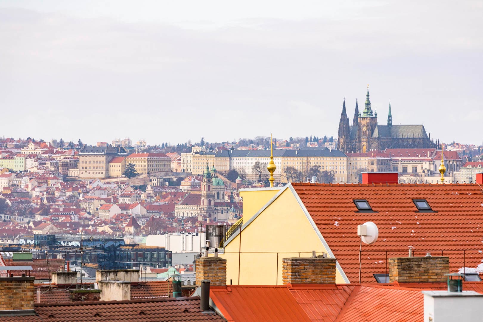 Gallery item 4