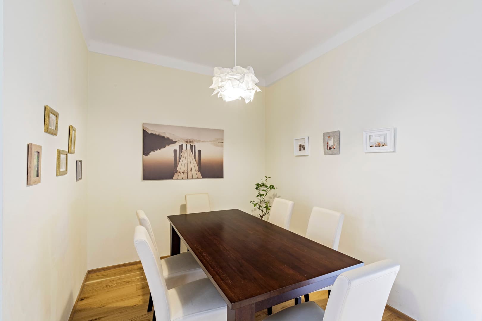 Gallery item 7