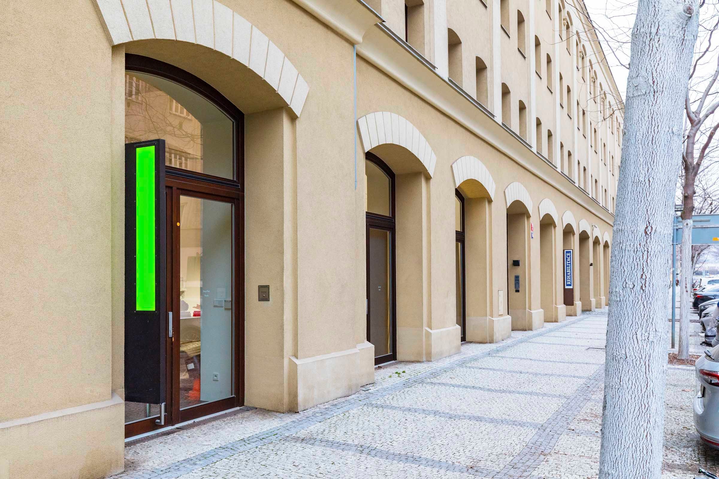 Nebytový prostor Šaldova